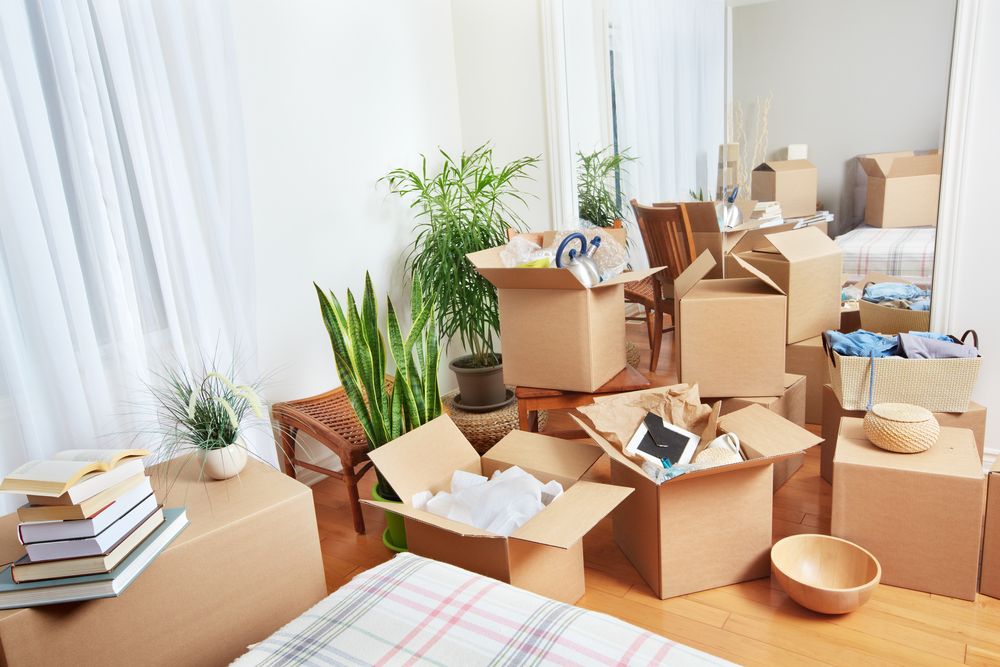 moving companies near me, Ensuring nothing breaks 3 Moving Hacks